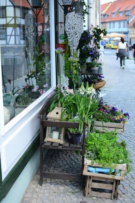 Schoene Ferienwohnung Mit Zwei Schlafzimmern Quedlinburg Exterior photo
